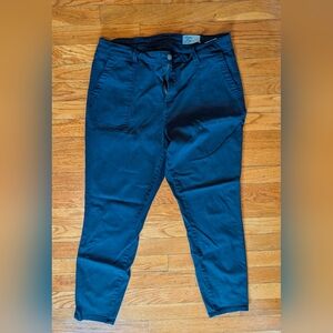 Cosmic Blue Love Twill Cropped skinny pant sz 33
